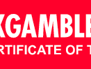 Slot Master logo